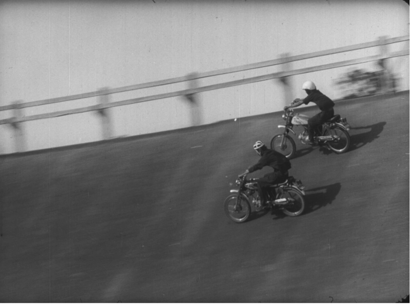 DossierJohnson Fig 3